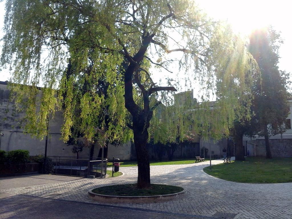 Hotel La Contrada Verbania Zewnętrze zdjęcie